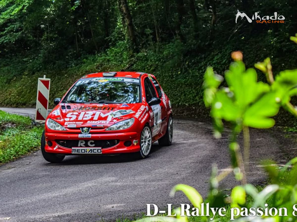 206 RC F2000 14 – photo 4 sur 6