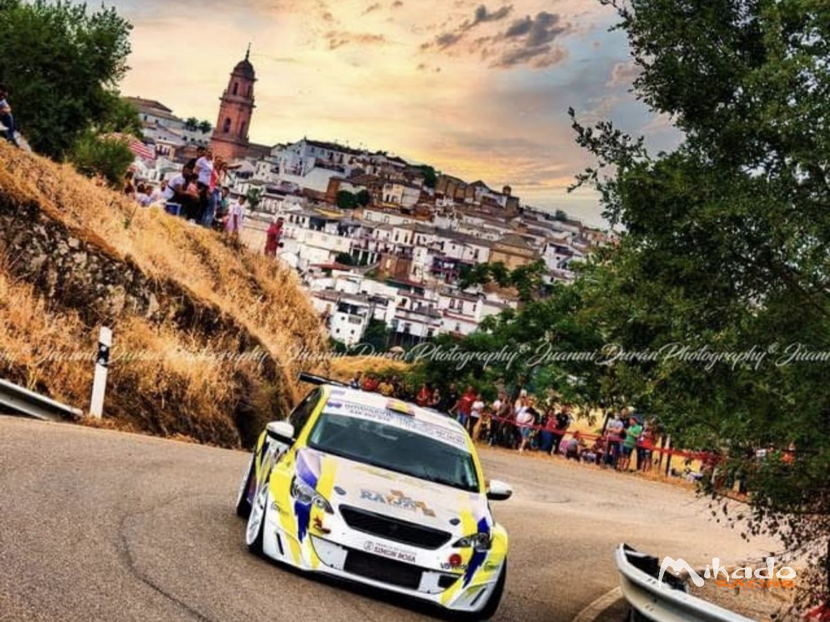 PEUGEOT 308 cup – photo 1 sur 6
