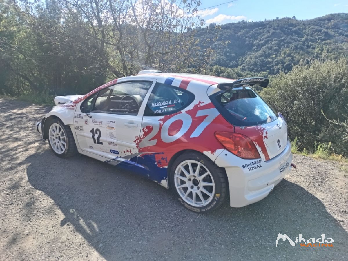 207 s2000 – photo 2 sur 2