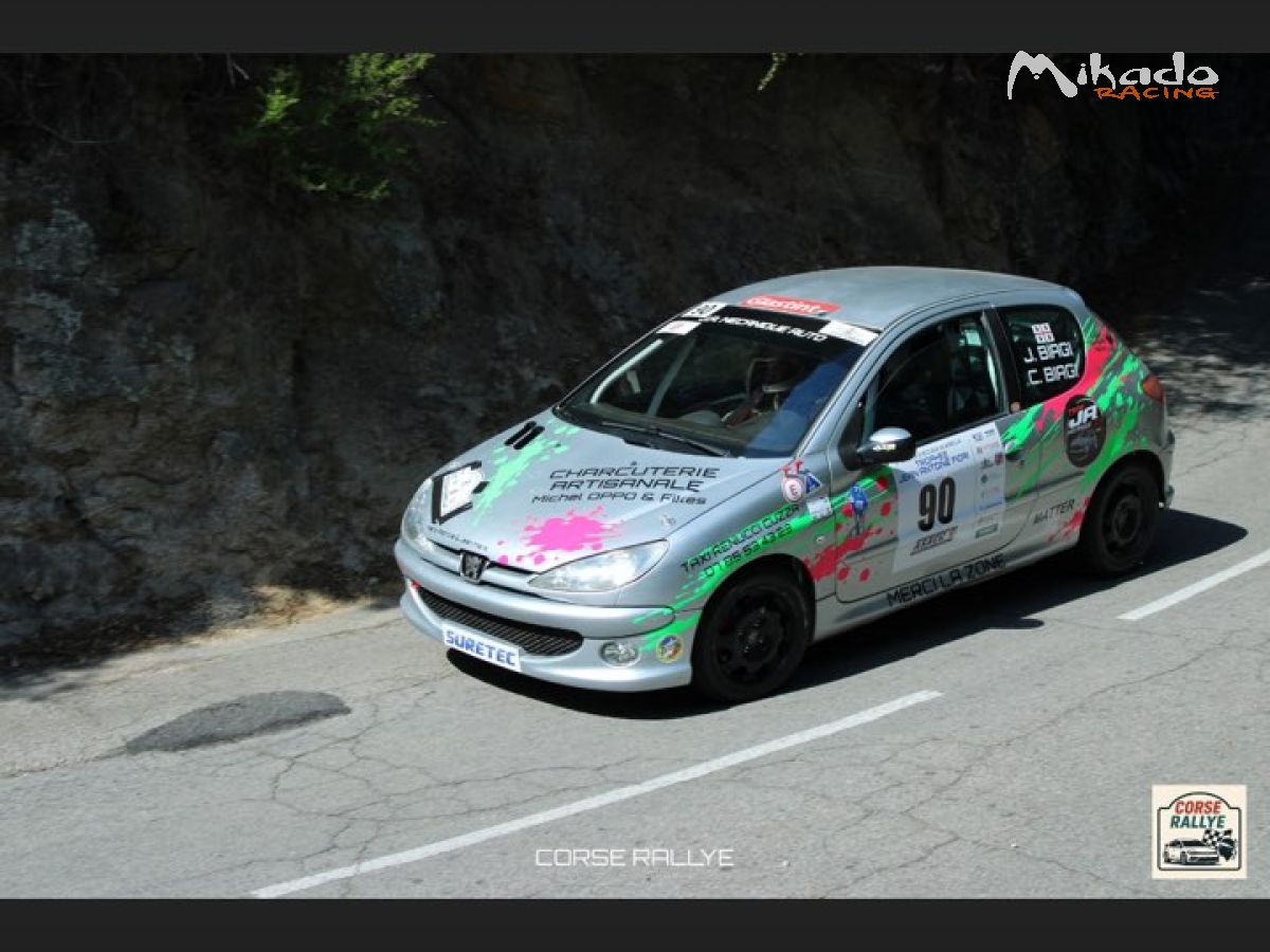 206 N2S – photo 1 sur 6