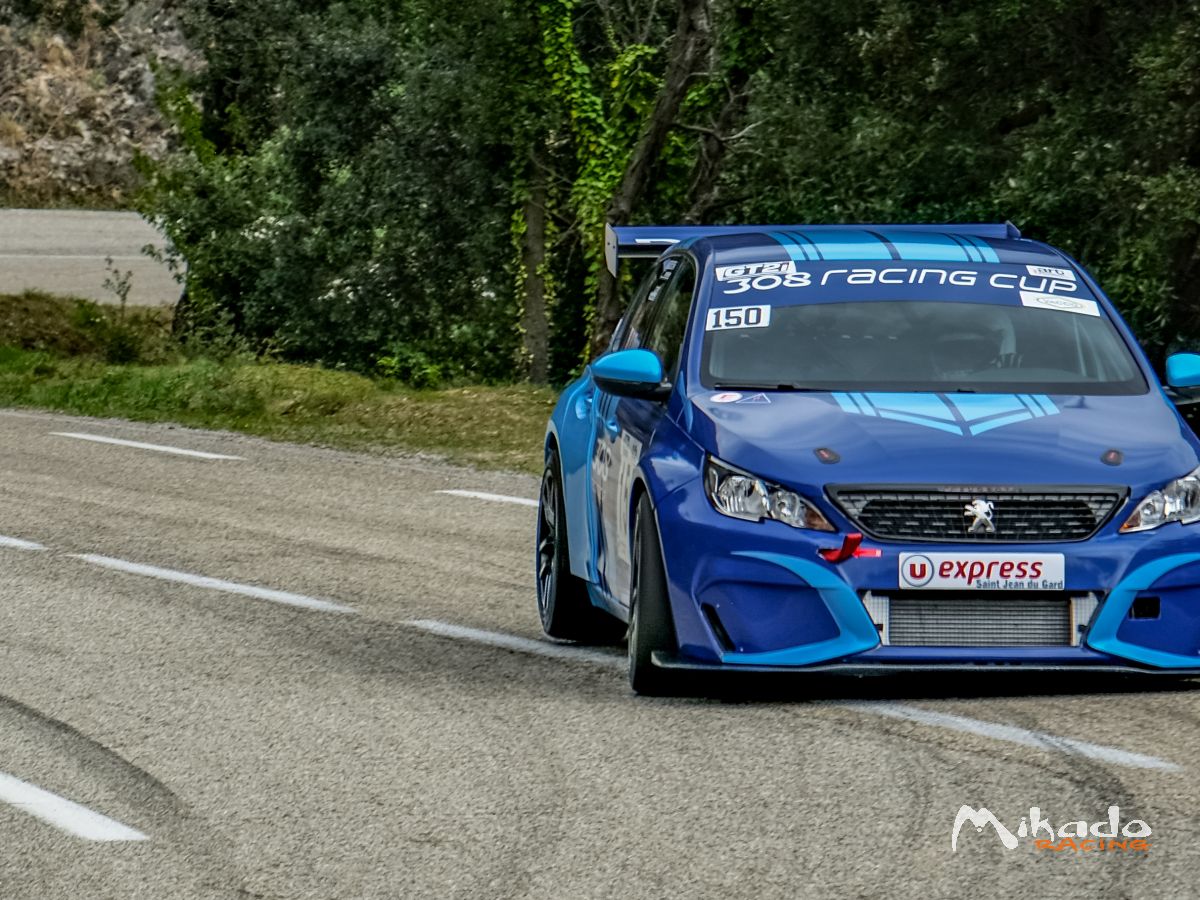 Vend 308 cup idéale course de cote – photo 2 sur 5