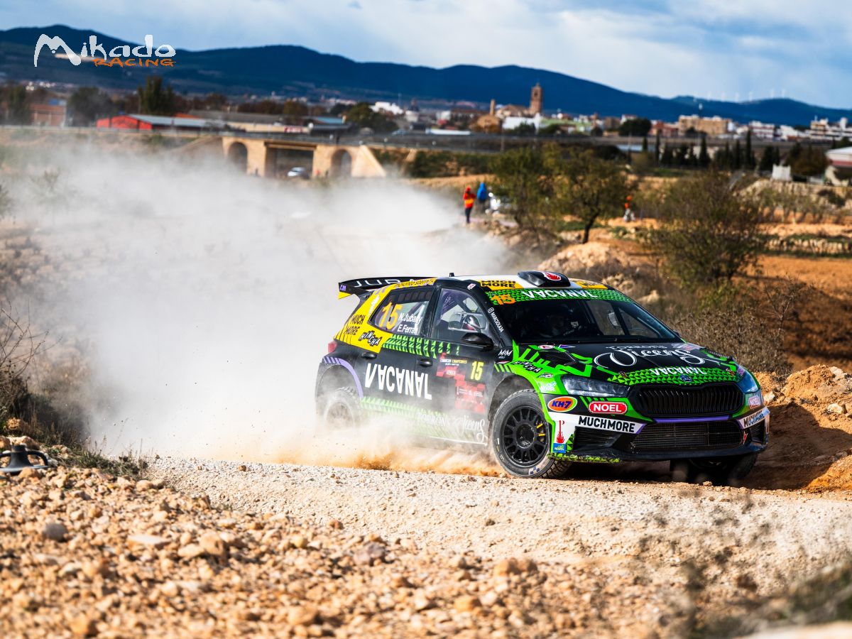 SKODA FABIA RS RALLY2 #79 FOR SALE – photo 3 sur 3