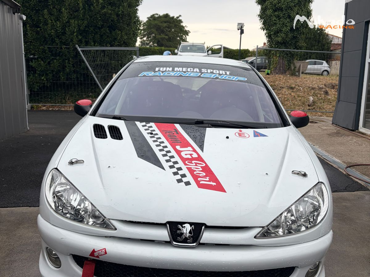 PEUGEOT 206 N2S – photo 1 sur 6