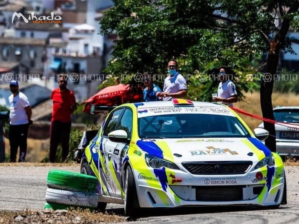 PEUGEOT 308 cup – photo 6 sur 6