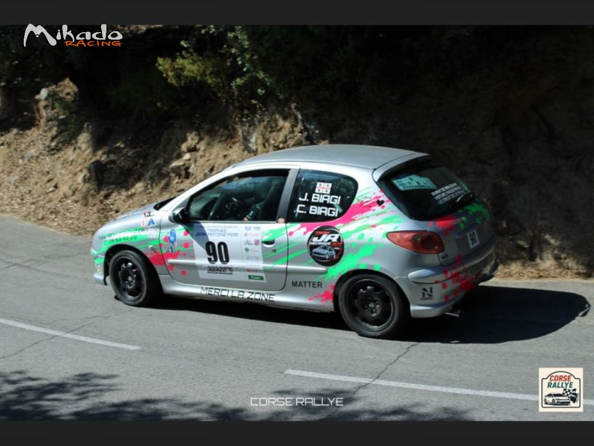 206 N2S – photo 5 sur 6