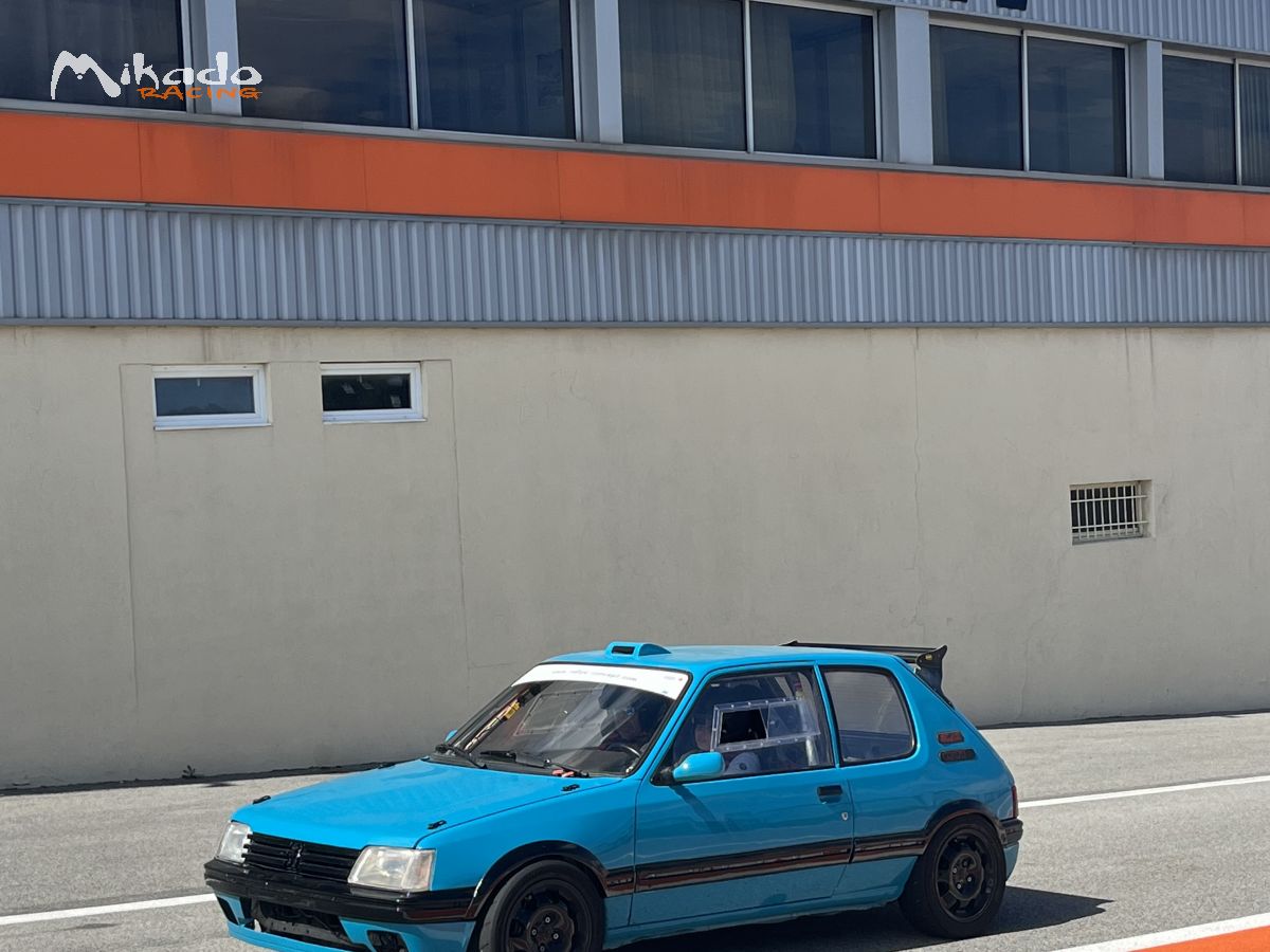 205 GTI F2000 2.0L Mi16 – photo 1 sur 5