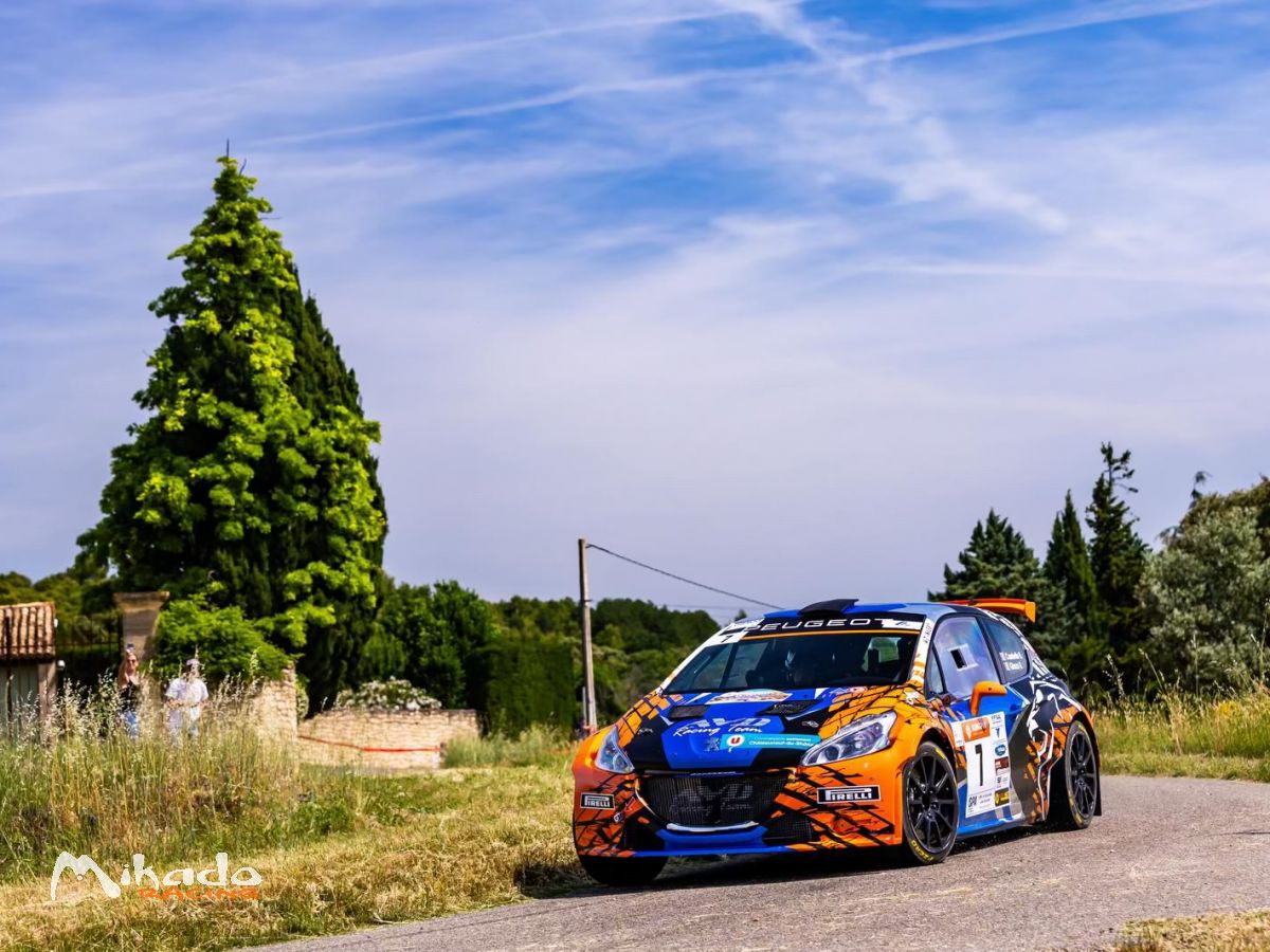 208 t16 #45 – photo 3 sur 3