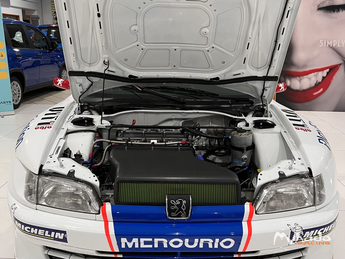 Peugeot 306 Maxi 7 Vitesse Ex Usine – photo 6 sur 6