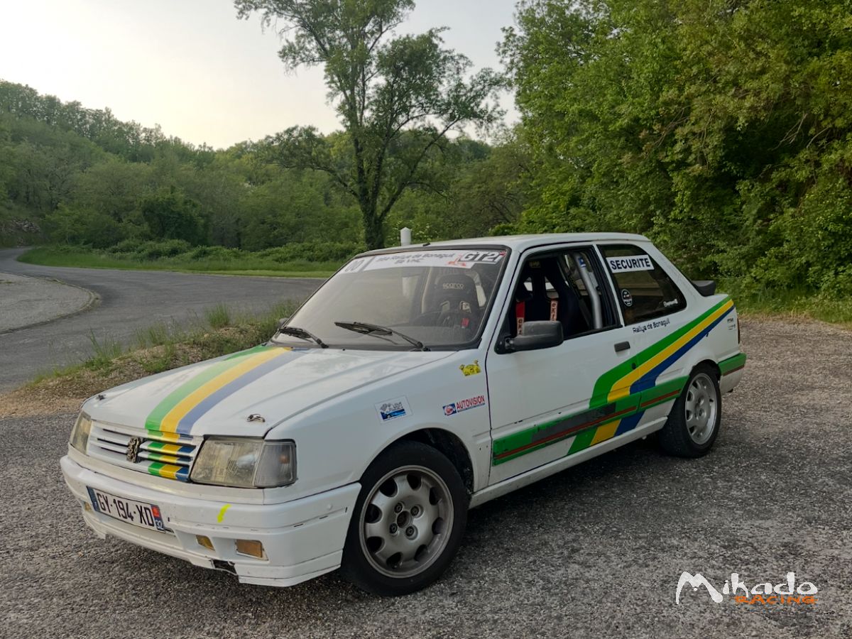PEUGEOT 309 GTI groupe N – photo 1 sur 3
