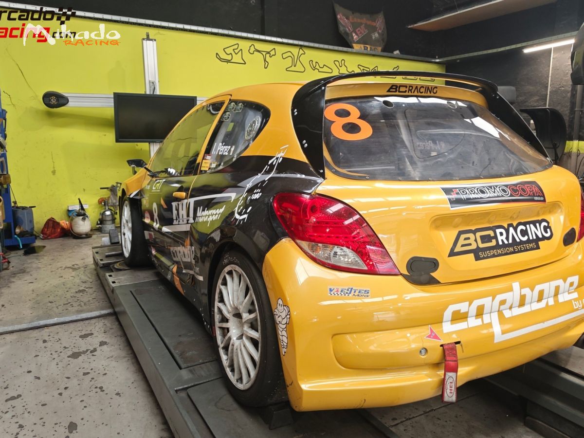 Peugeot 207 tipo S2000 Campeón nacional clase 3 – photo 3 sur 6