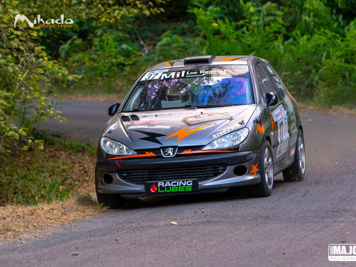 206 f2014 – photo 4 sur 4