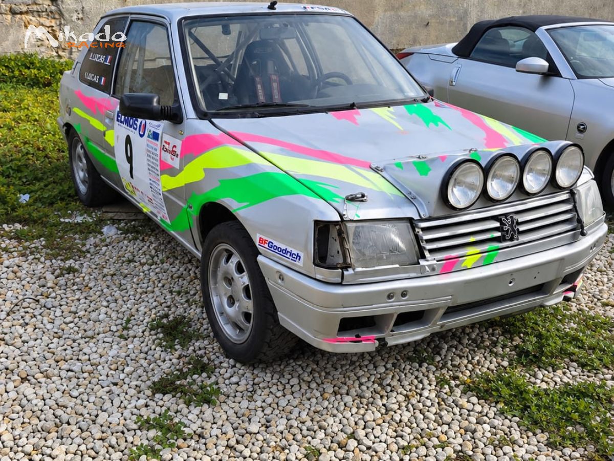 Vends 309 gti 16 grn avec passeport – photo 1 sur 5