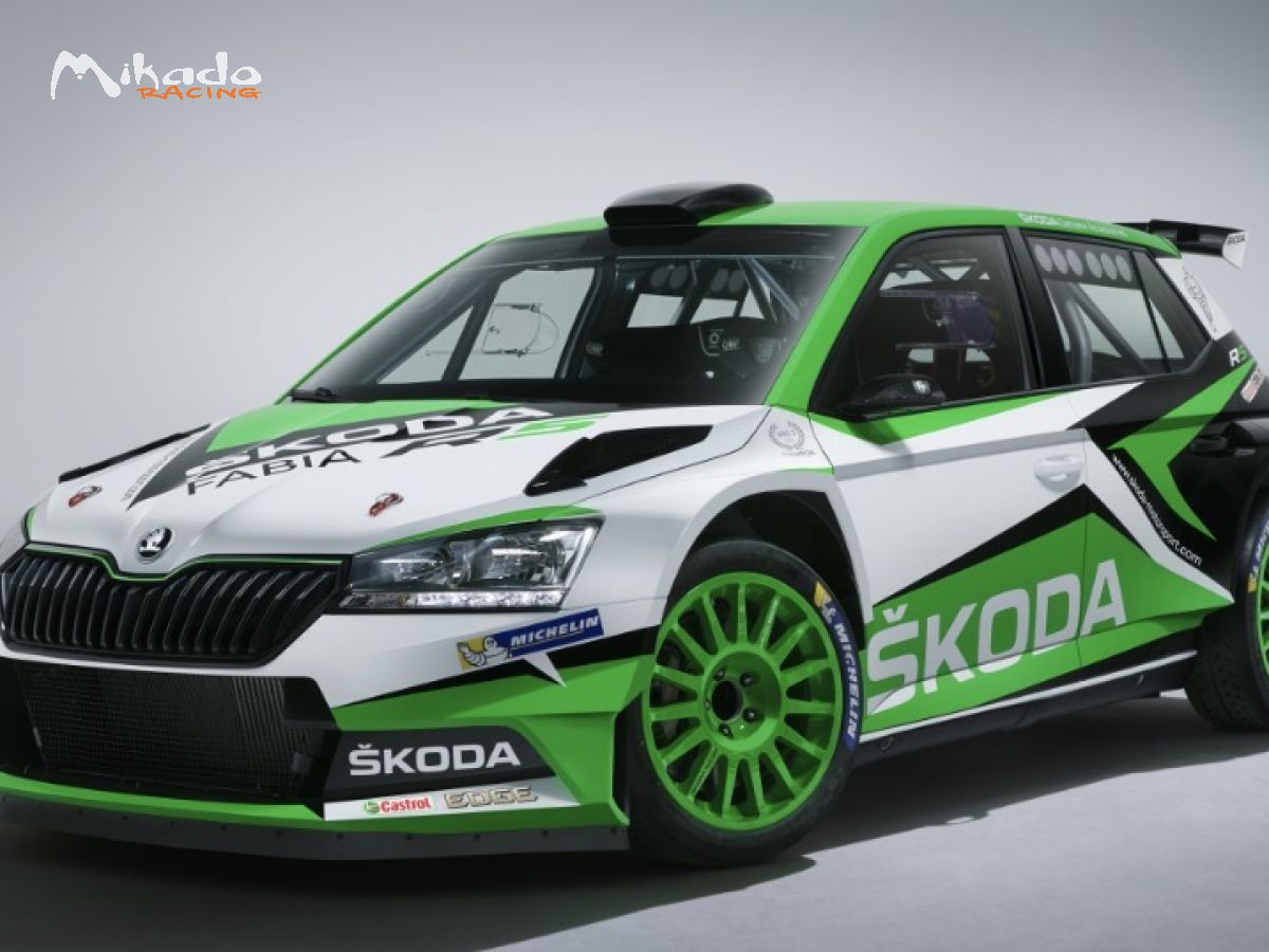 Cherche Skoda 2018
