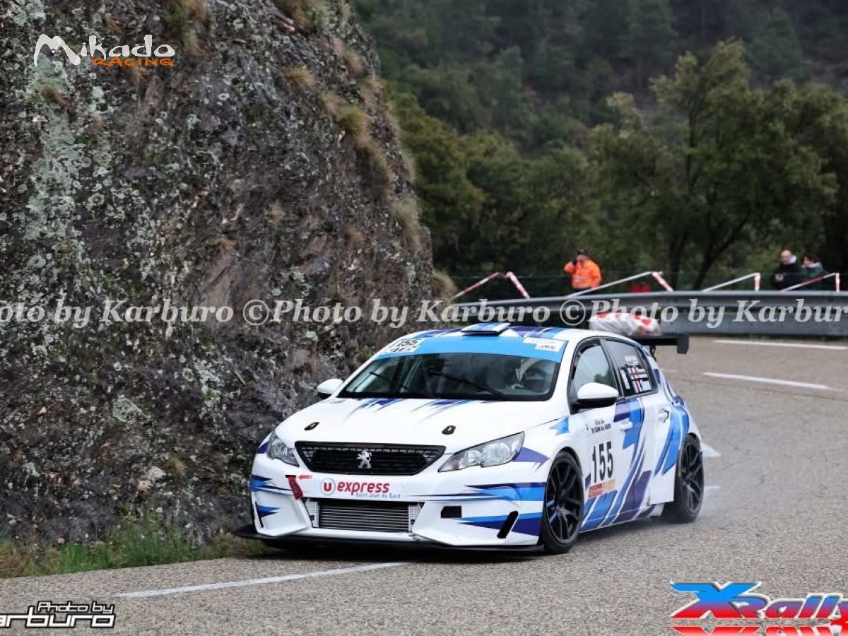 Vend 308 cup idéale course de cote – photo 4 sur 5