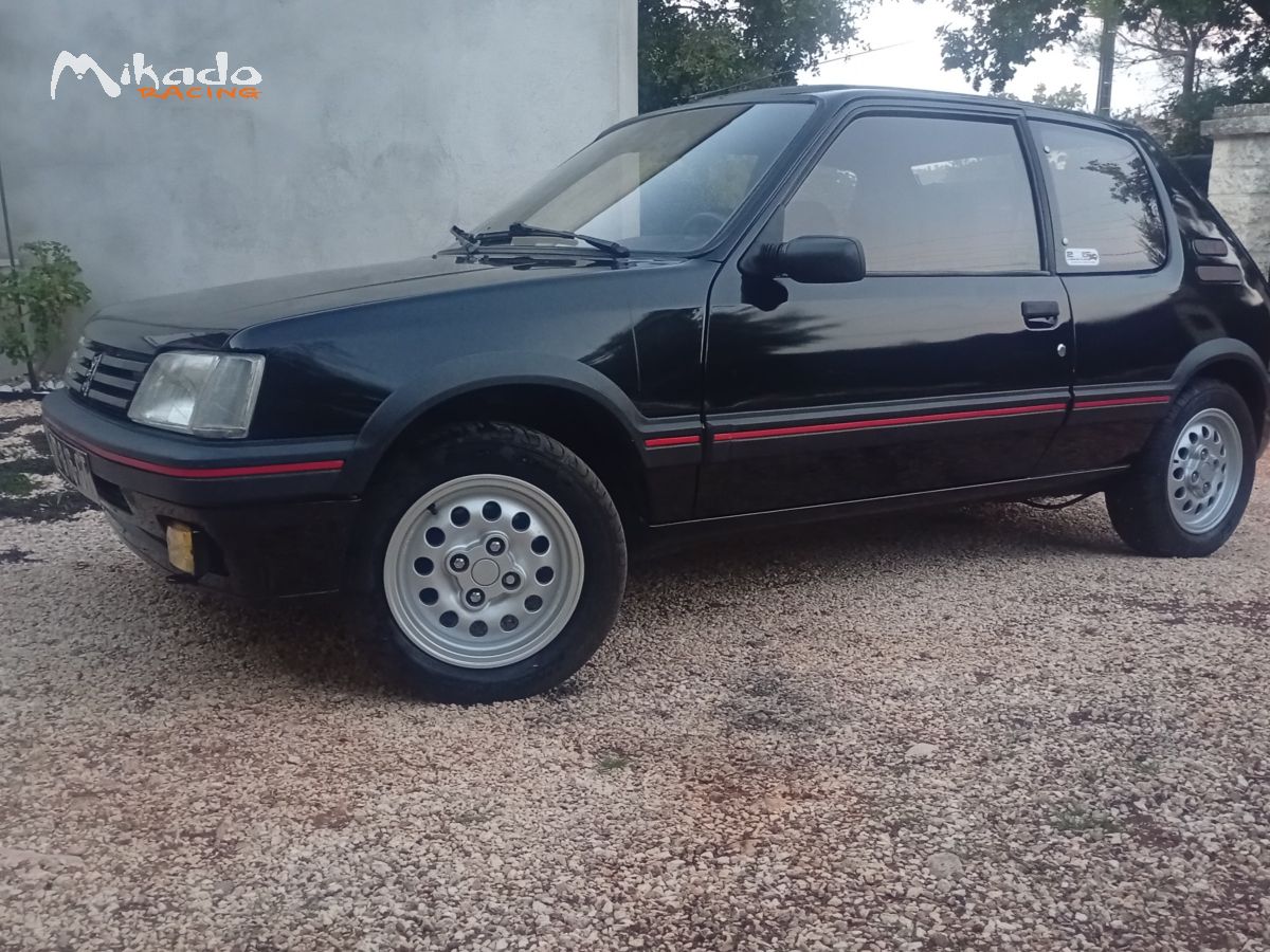 205 gti 115 – photo 6 sur 7