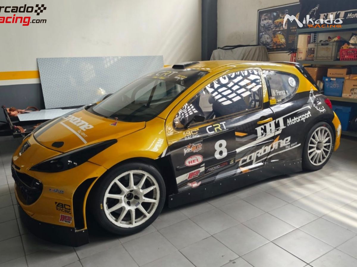 Peugeot 207 tipo S2000 Campeón nacional clase 3 – photo 2 sur 6