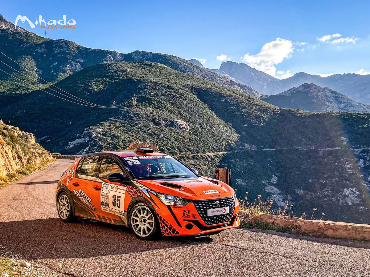 Peugeot 208 RC4