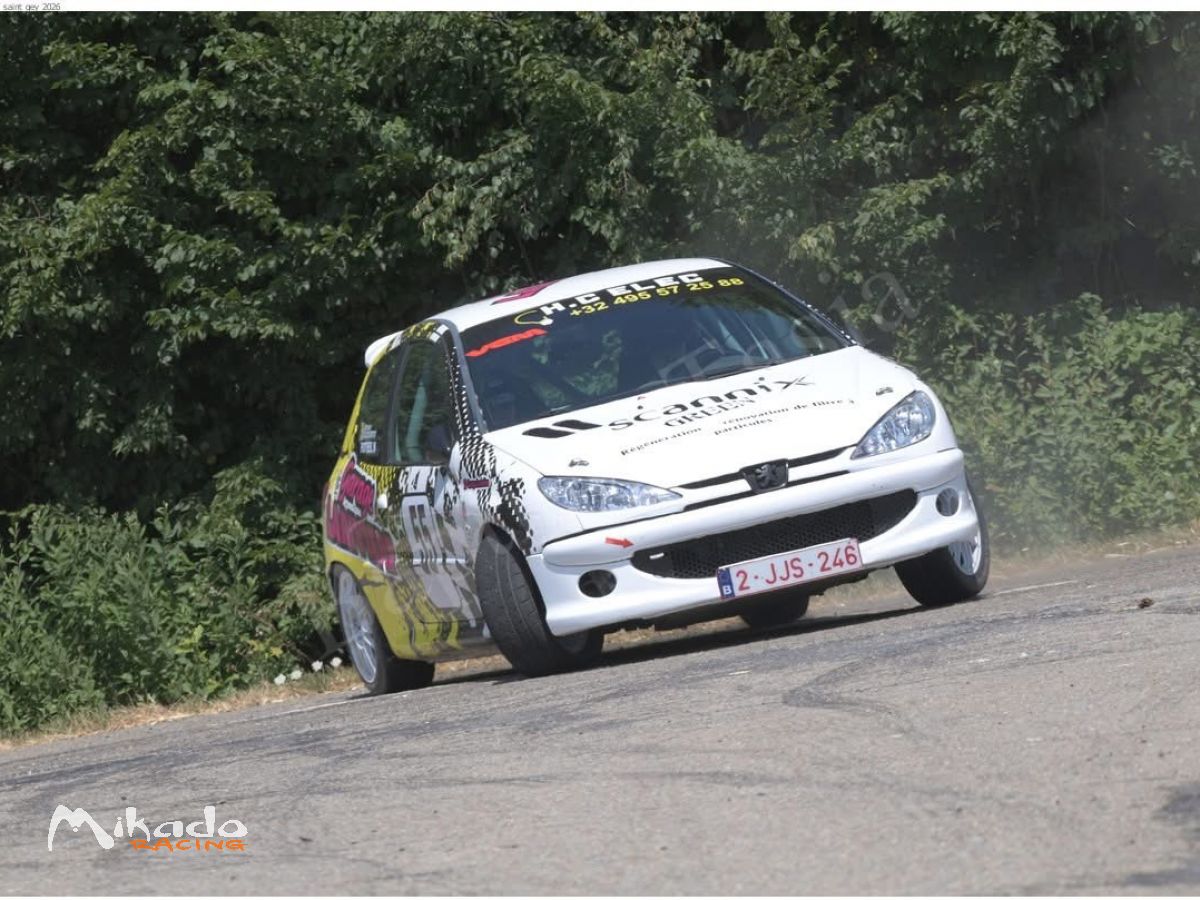 Peugeot 206 mini Gr A – photo 1 sur 4
