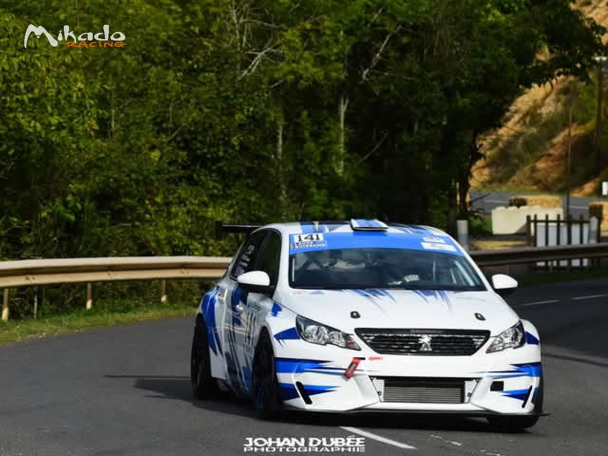 Vend 308 cup idéale course de cote – photo 1 sur 5