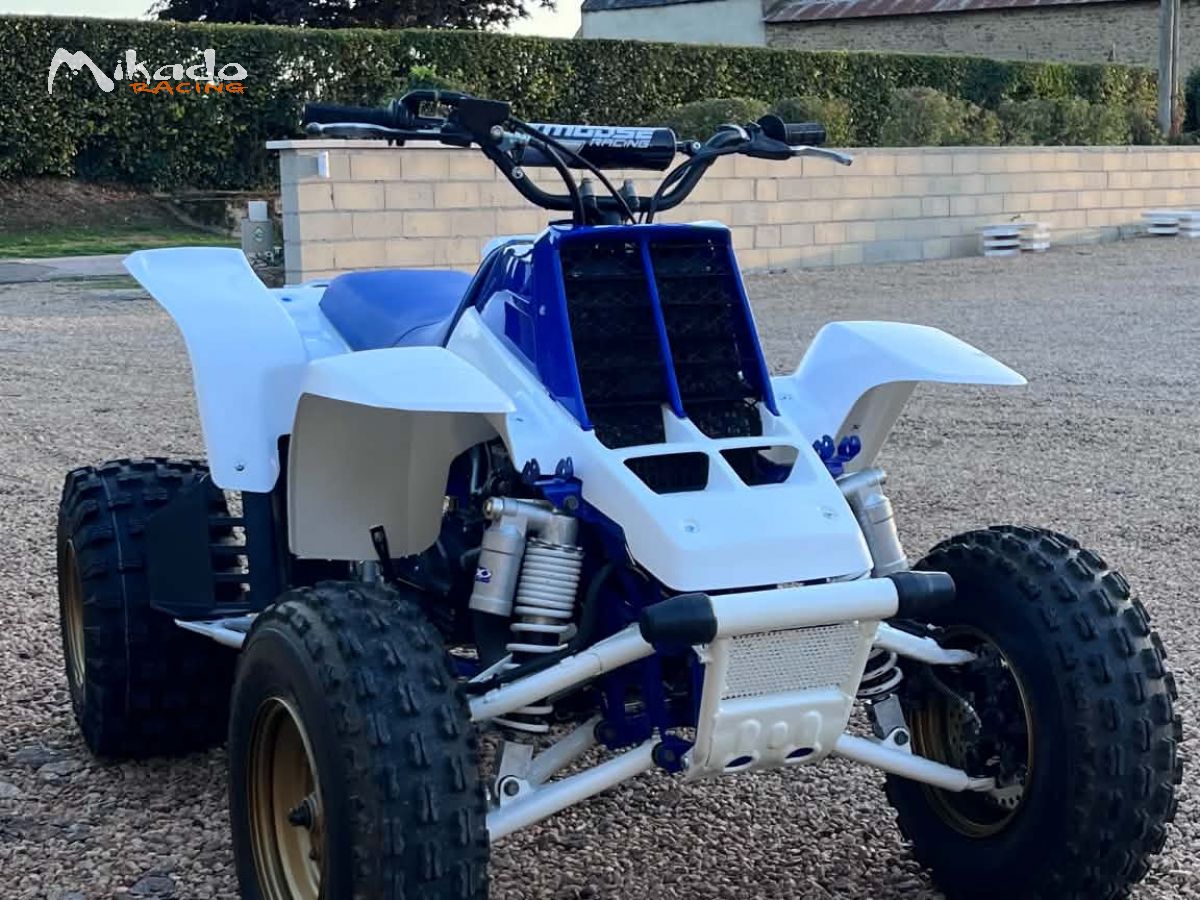 350 banshee – photo 1 sur 4
