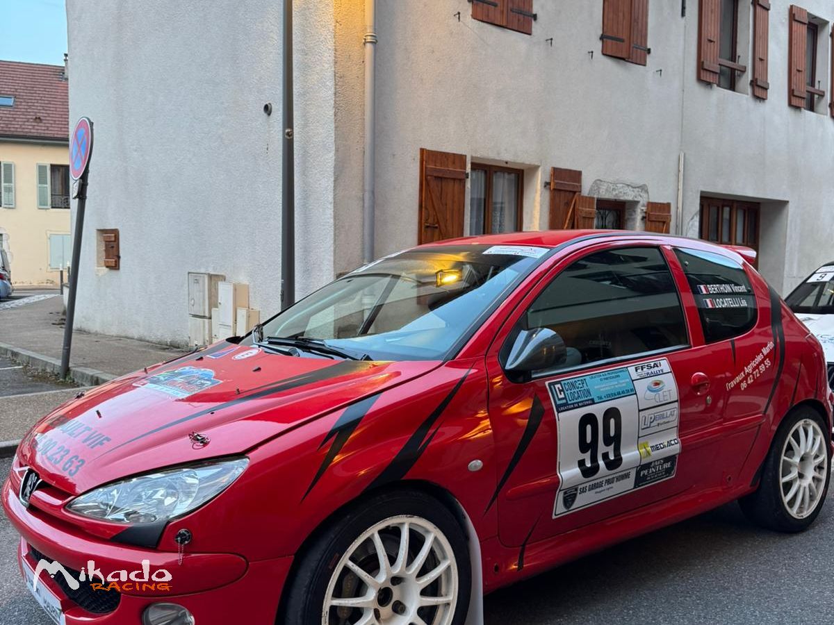 Peugeot 206 RC A7 – photo 1 sur 5