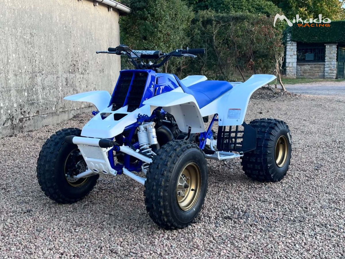 350 banshee – photo 2 sur 4