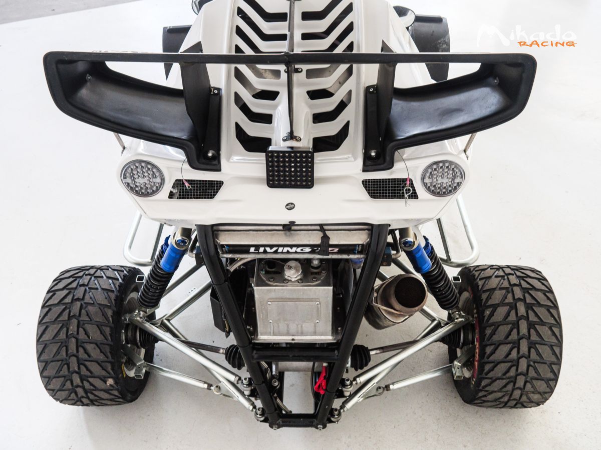 Car Cross FIA Wonder Brand New, engine revised by Pep Motor.. – photo 2 sur 6