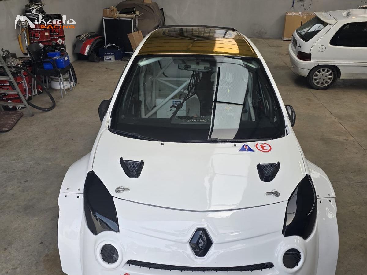 Rallycross - Renault Twingo RX S1600 – photo 3 sur 6