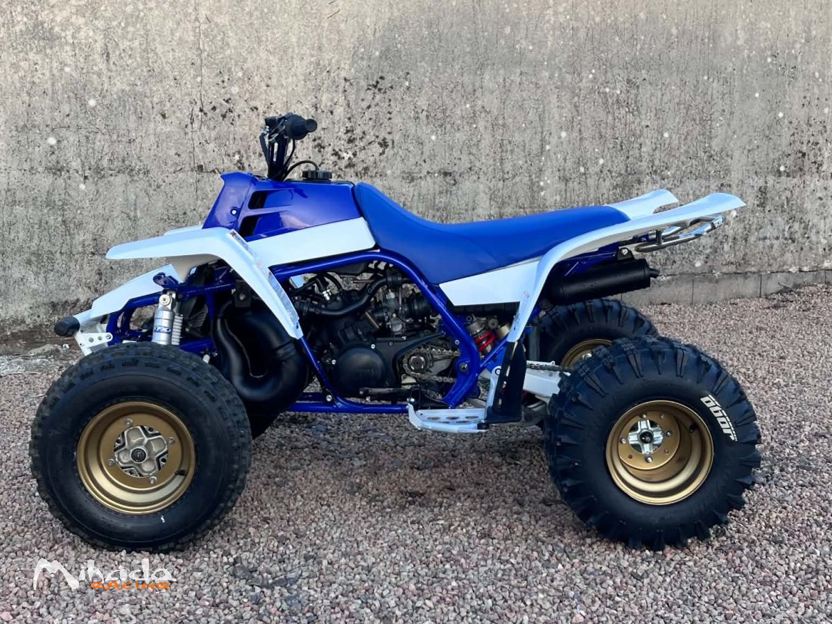 350 banshee – photo 3 sur 4