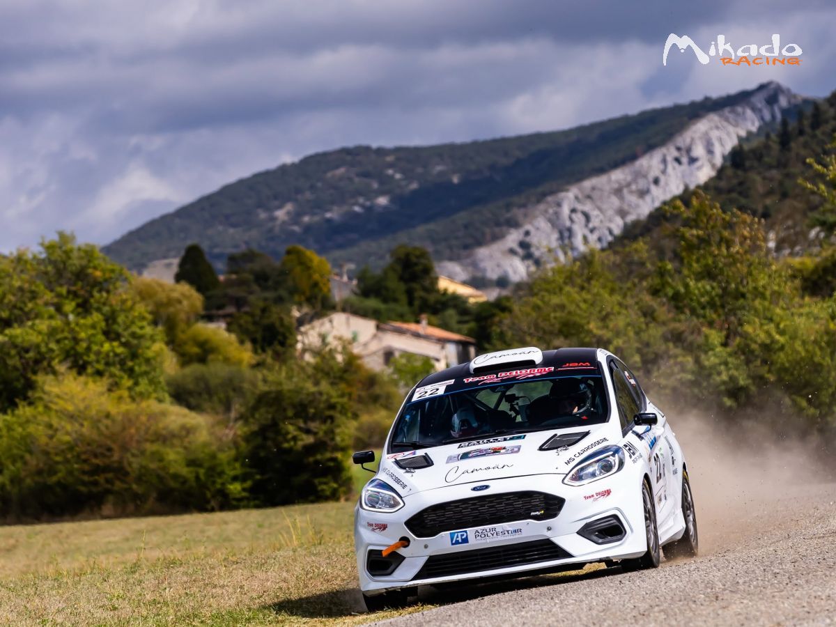 LOCATION FORD FIESTA RALLY4 – photo 1 sur 2