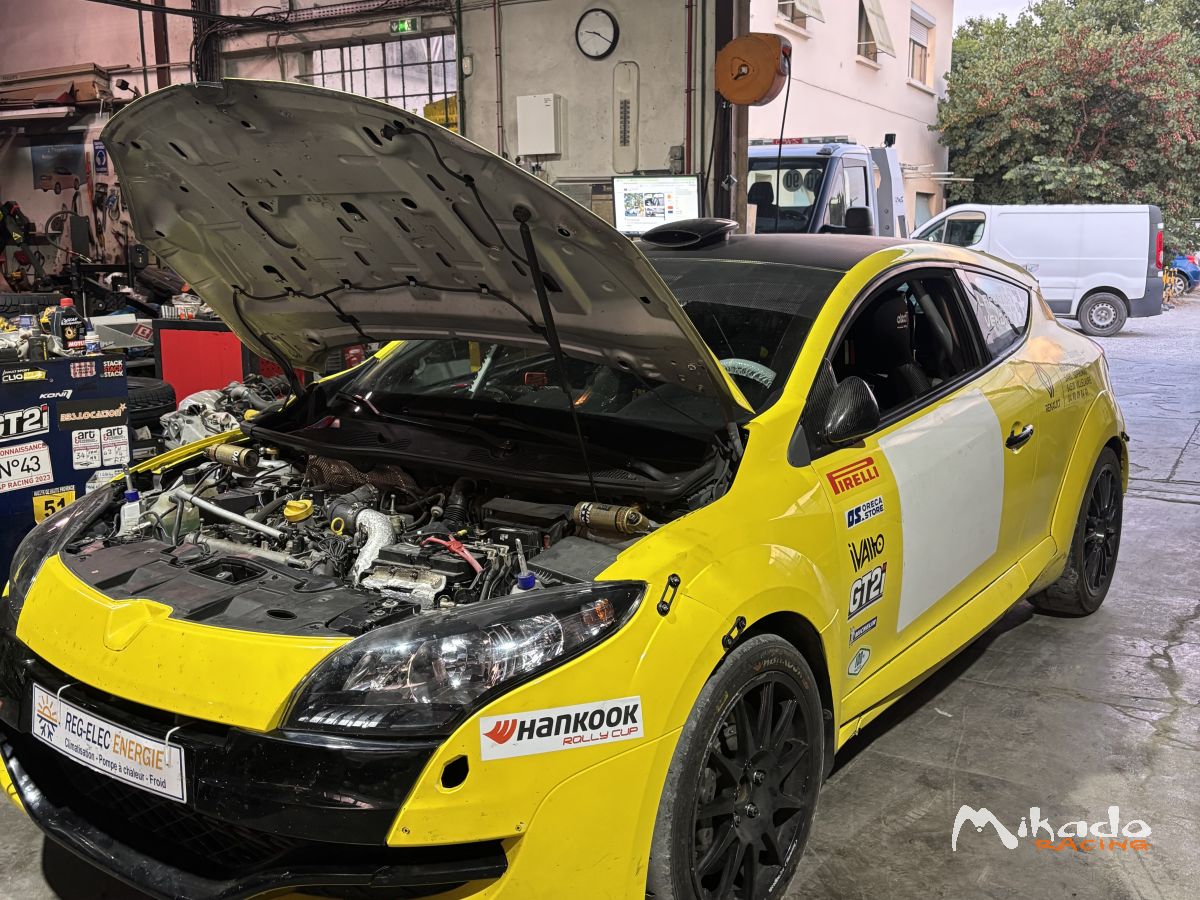Megane N4 – photo 1 sur 6
