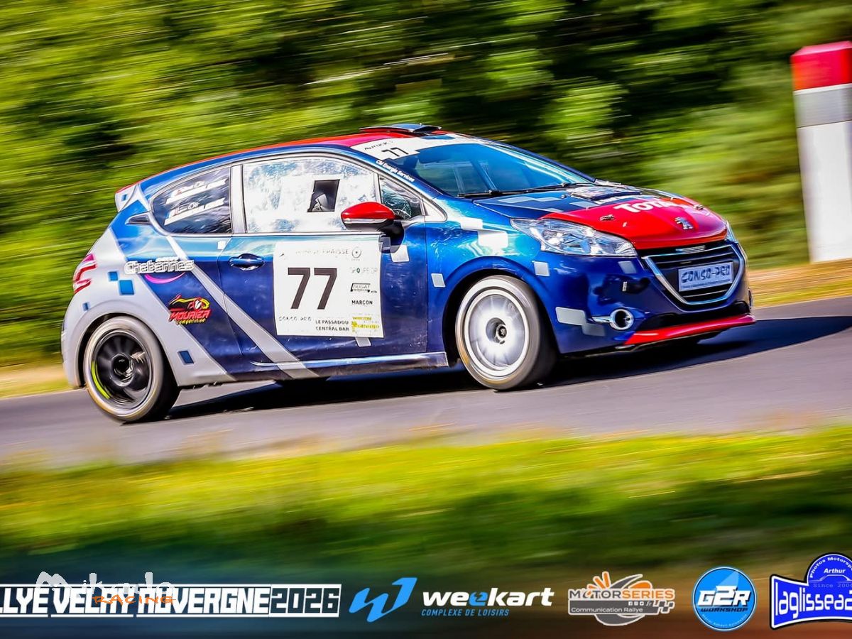 208 f2013 – photo 2 sur 3