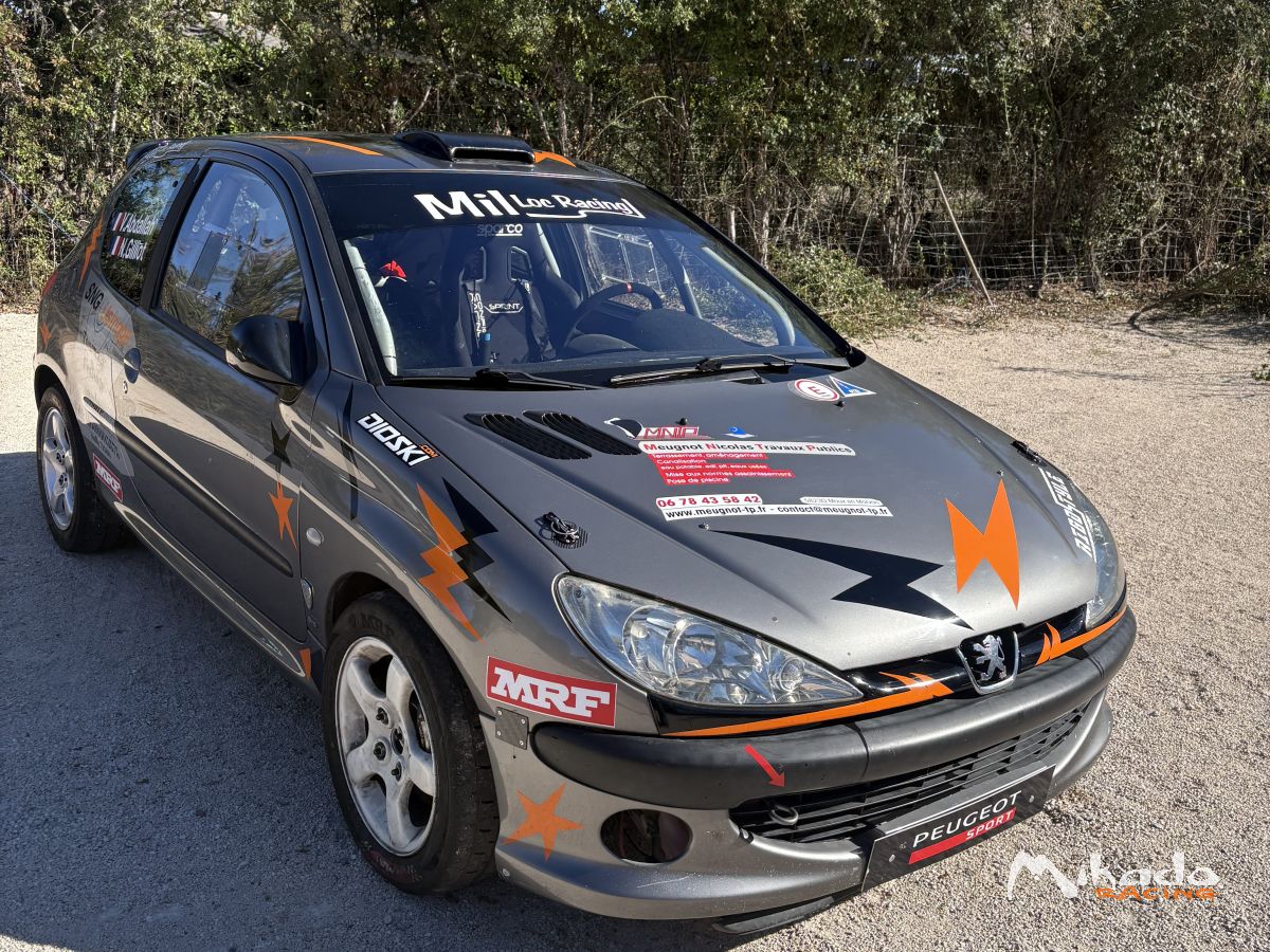 206 f2014 – photo 3 sur 4