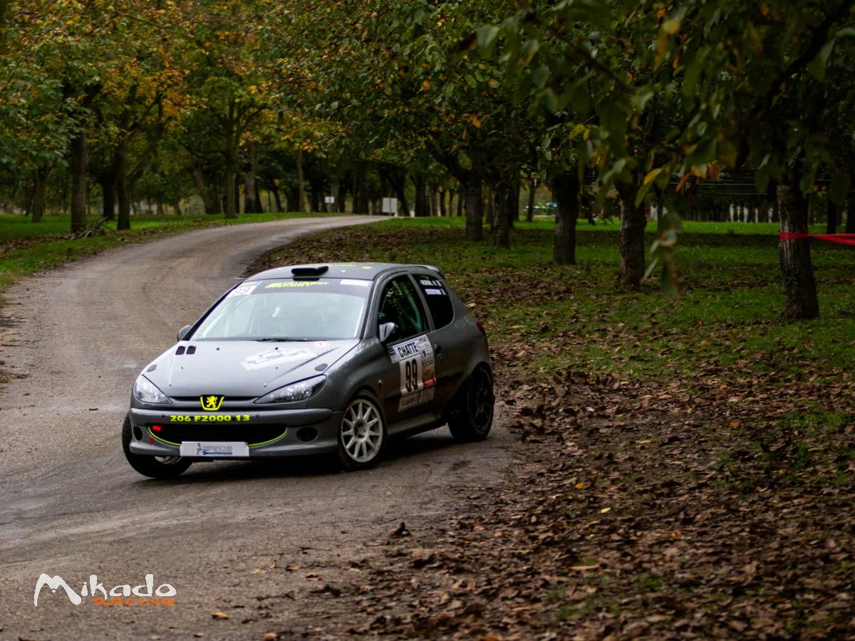 Tres belle 206 f2013 seulement 1 rallye – photo 1 sur 4