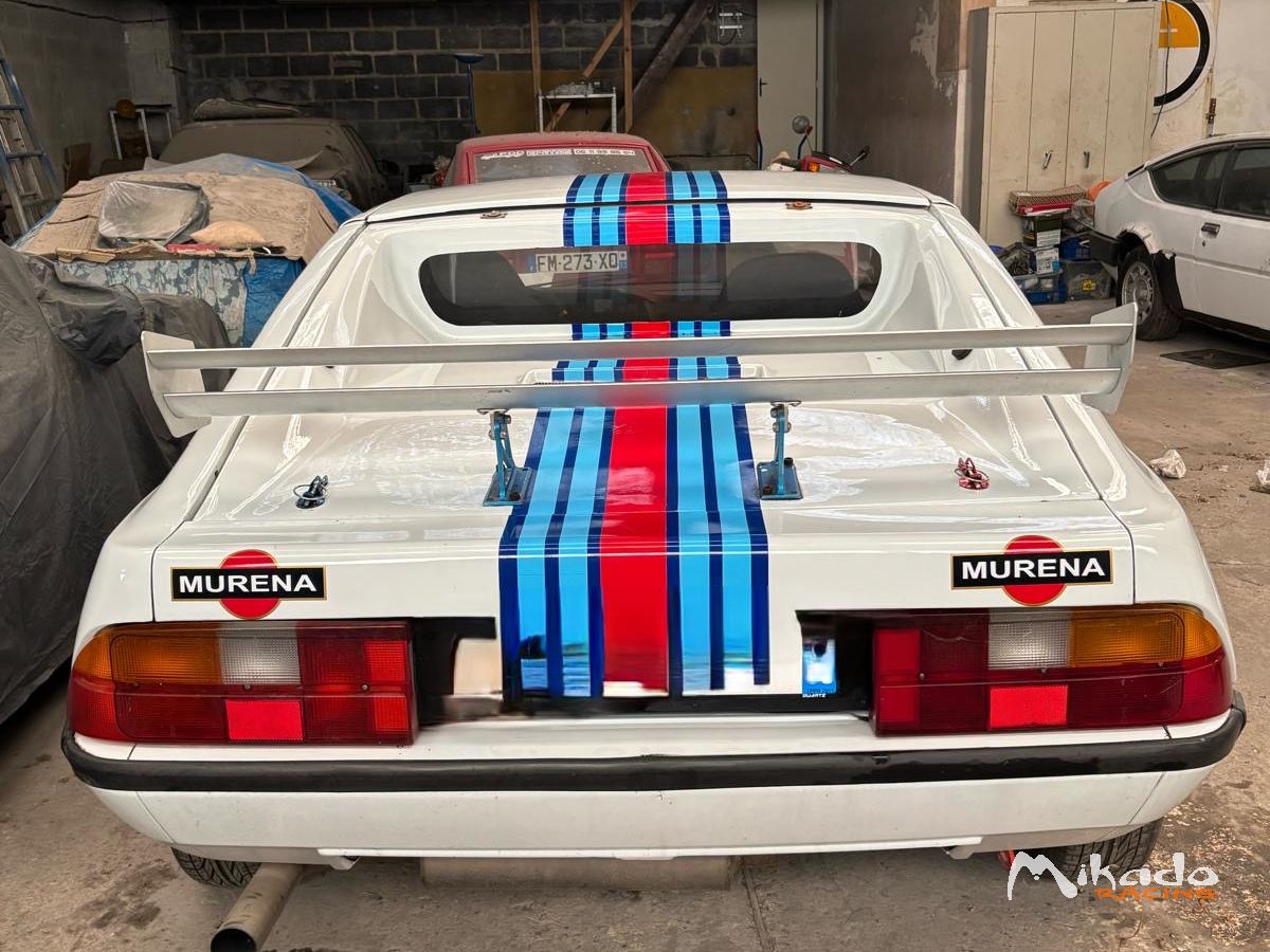 Talbot murena – photo 2 sur 4
