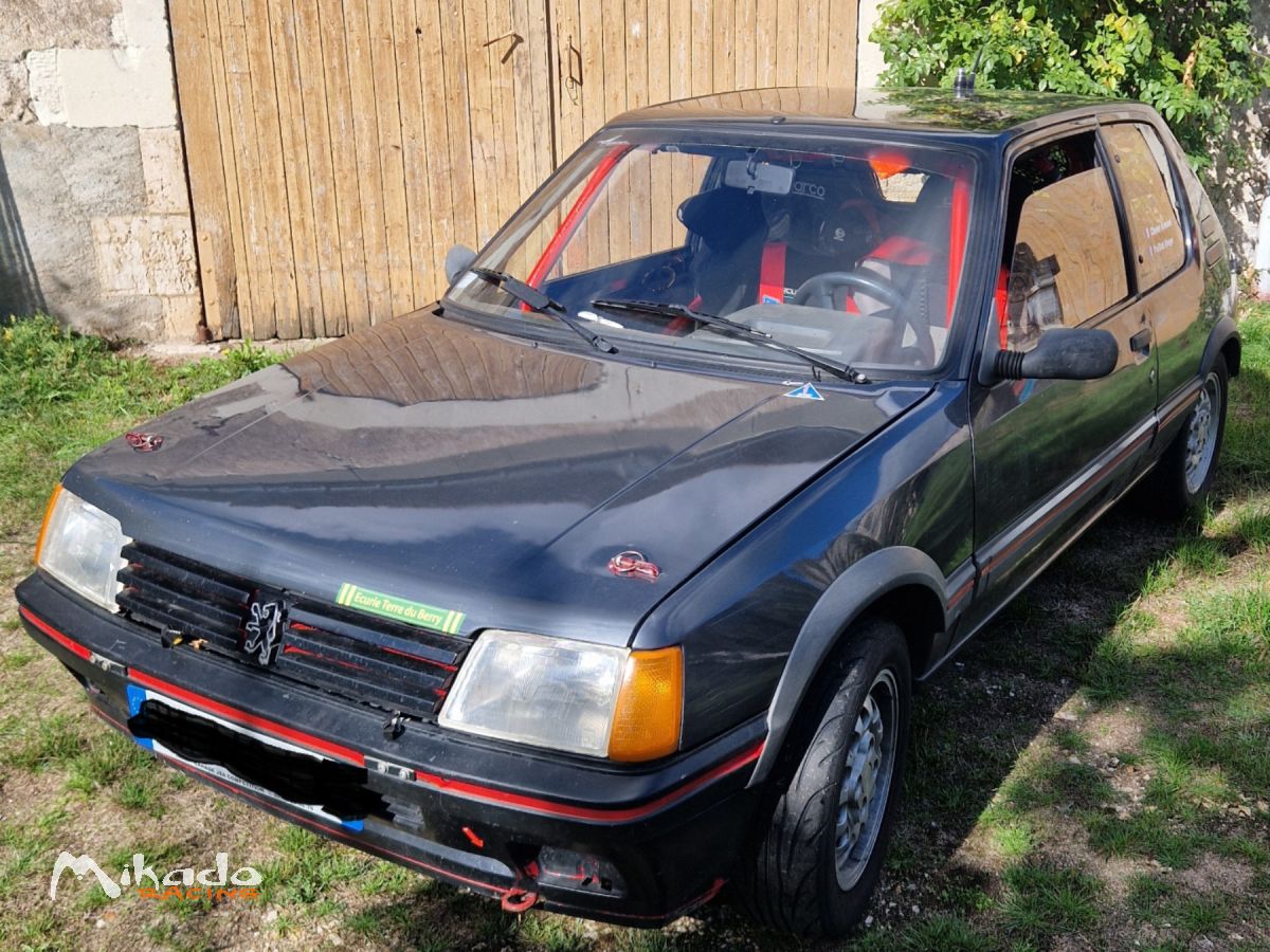205 gti 1.6 – photo 2 sur 4