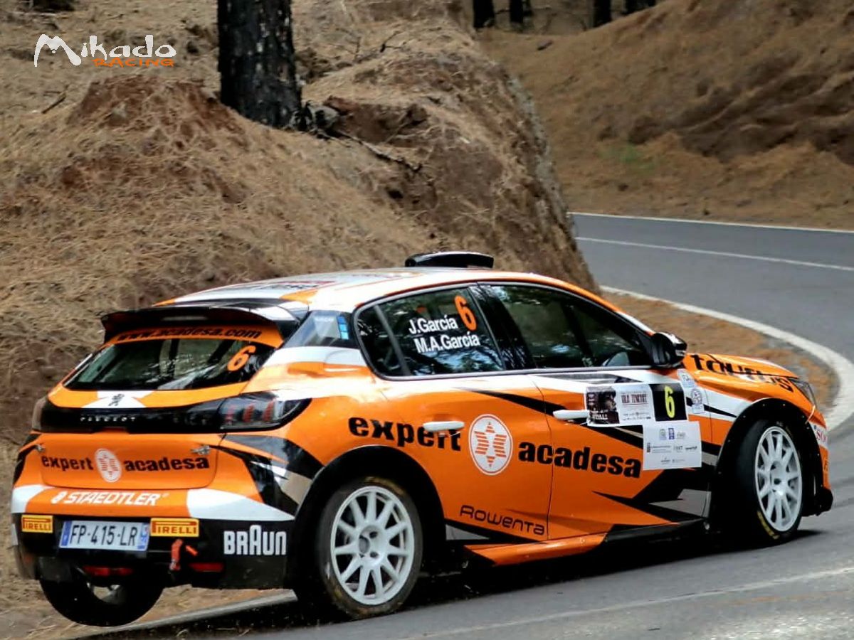 PEUGEOT 208 RALLY4 – photo 3 sur 9