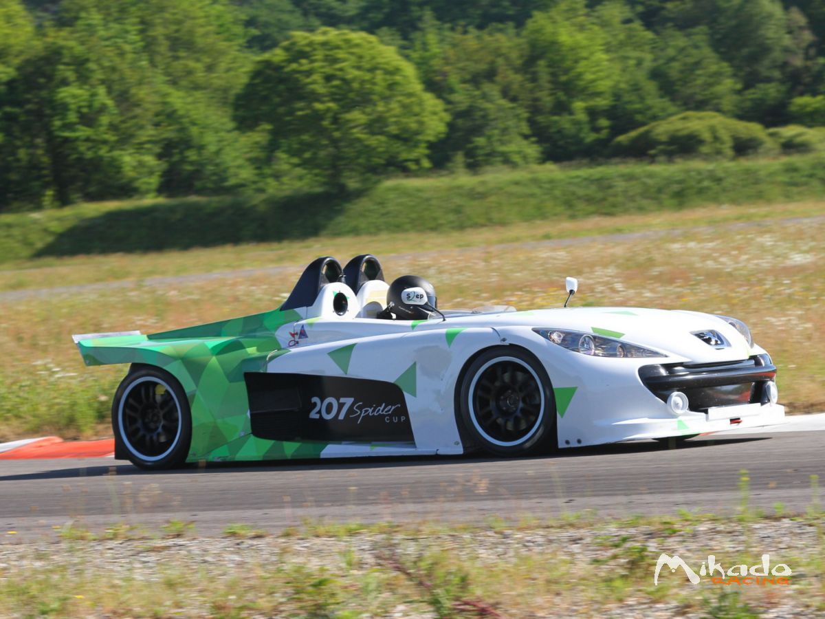 PEUGEOT 207 SPIDER CUP N° 79 – photo 2 sur 6