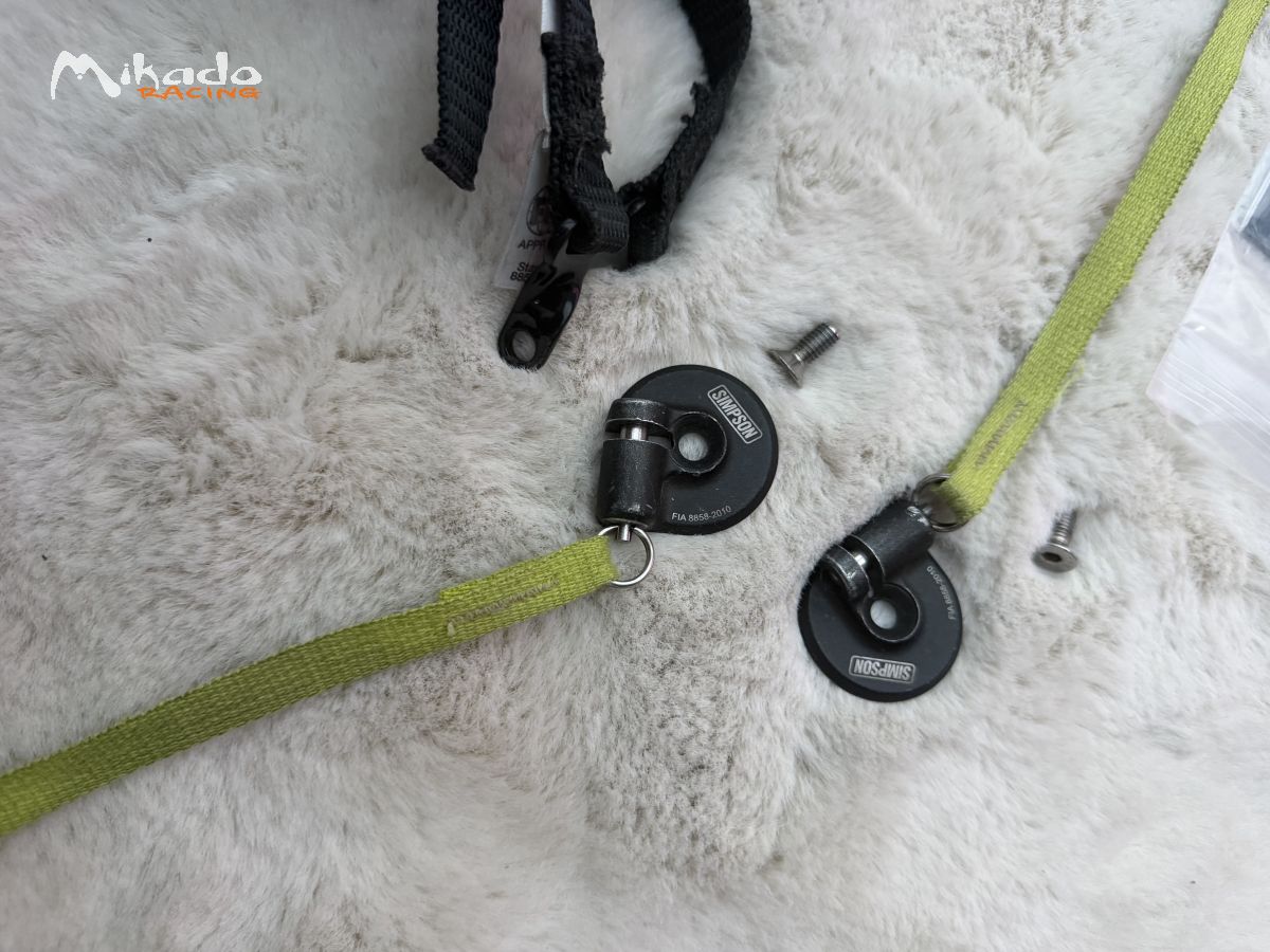 Hans hybrid – photo 2 sur 2