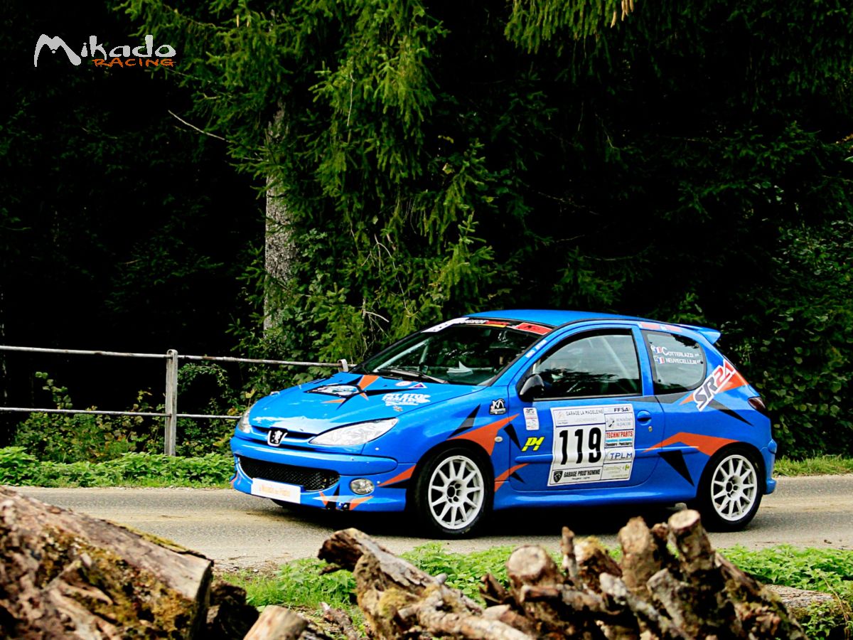 Peugeot 206RC N3 – photo 1 sur 2