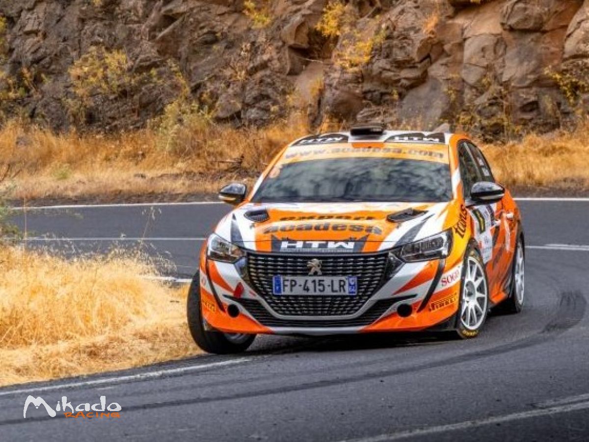 PEUGEOT 208 RALLY4 – photo 2 sur 9