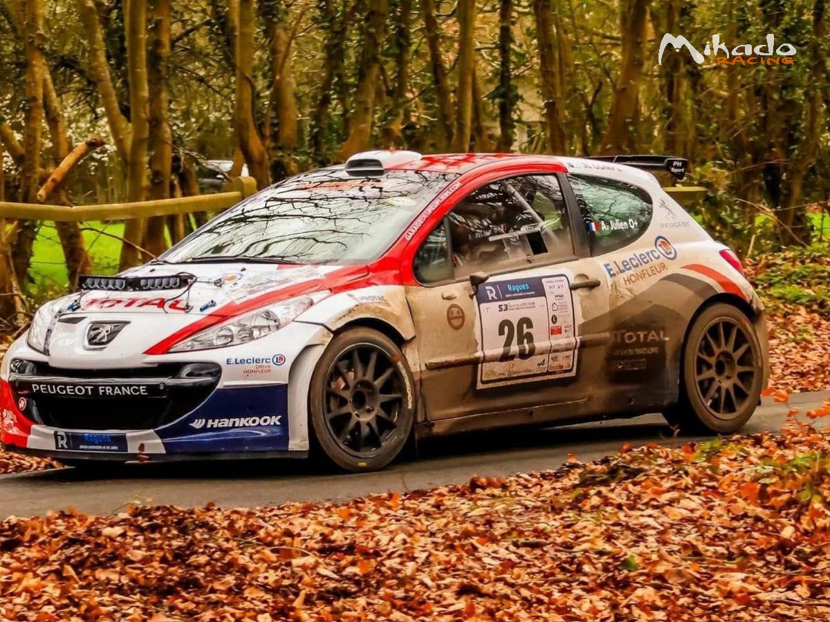 Vend ou reprise peugeot 207 s2000 spec 3b – photo 3 sur 5