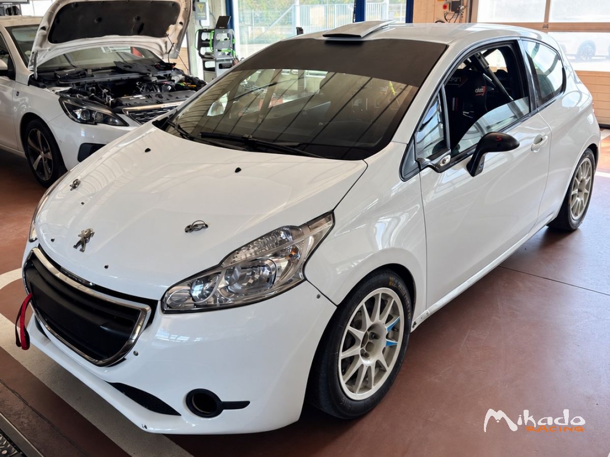 Peugeot 208 R2