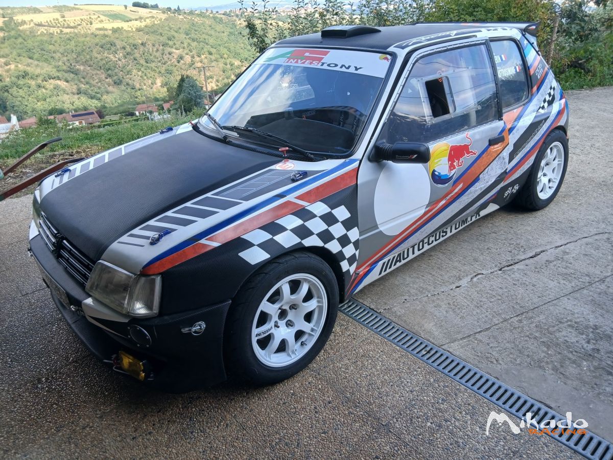 205 GTI F2014 – photo 1 sur 3