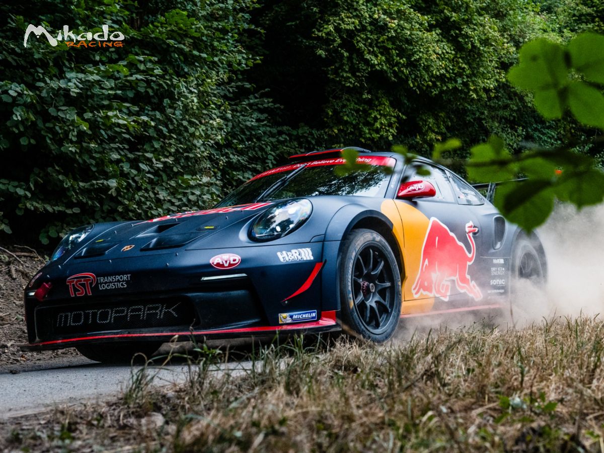 Porsche 992 Rally GT – photo 6 sur 6