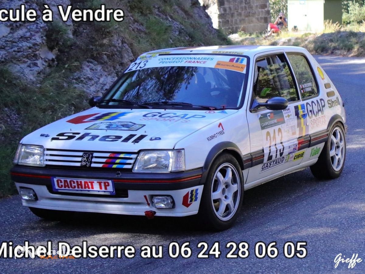Peugeot 205 GTI 1,6l groupe A VHC