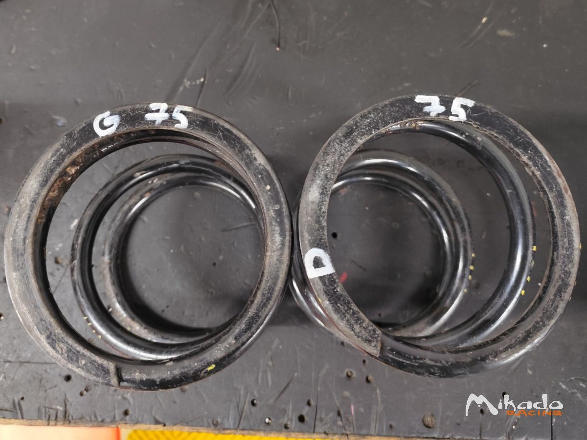 Ressort suspensions Twingo R2/ clio 2 RS