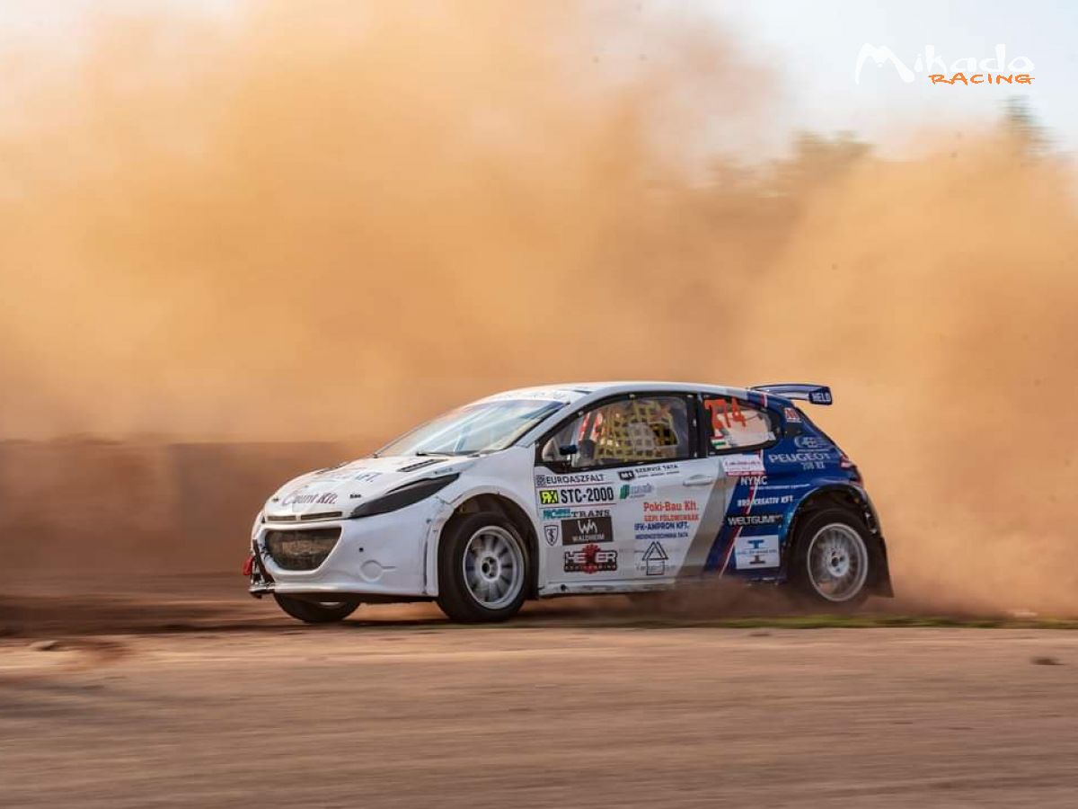 Peugeot 208 RX STC -2000 – photo 9 sur 10