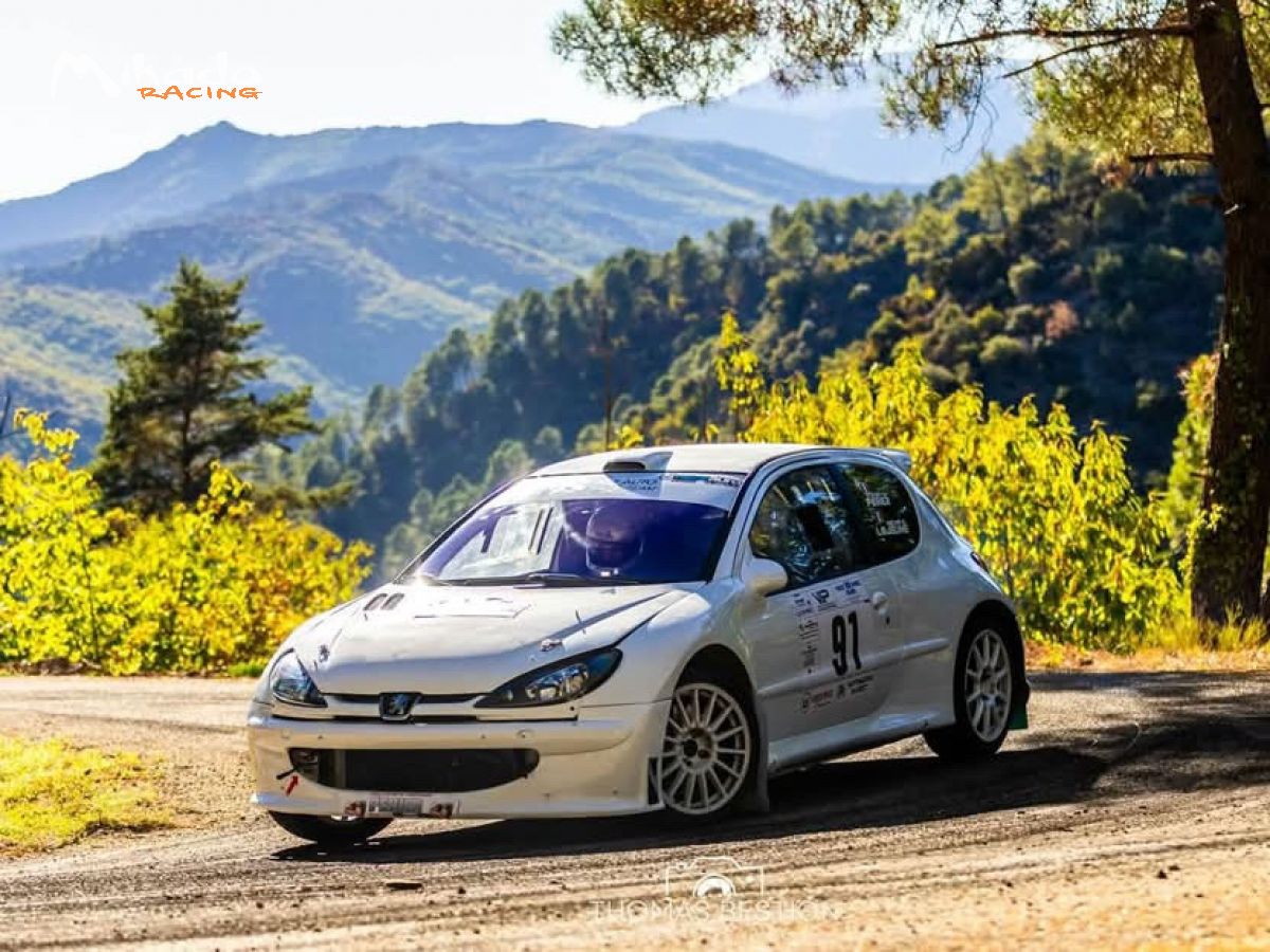 206 maxi f2013 en pieces – photo 1 sur 10