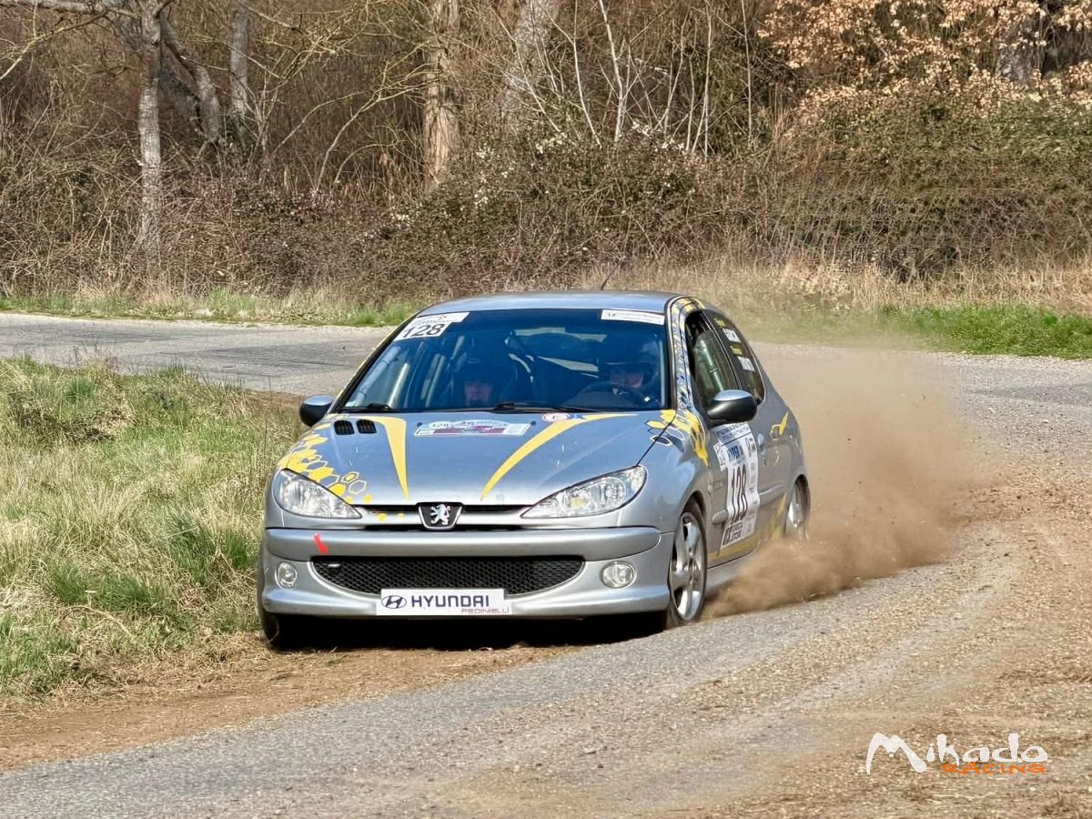 206 N2S – photo 1 sur 3